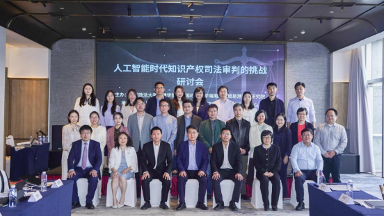 “人工智能時代知識產(chǎn)權(quán)司法審判的挑戰(zhàn)”研討會在?？谂e辦