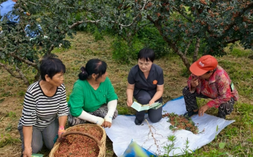 法院干警深入轄區(qū)農(nóng)田向農(nóng)戶宣講農(nóng)業(yè)生產(chǎn)相關(guān)法律知識(shí)