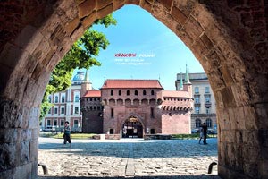 家制風(fēng)干牛肉(自制風(fēng)干牛肉的做法)