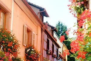 大山包黑頸鶴旅游攻略(大山包黑頸鶴從哪里來(lái))