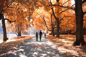 焦作旅游年票游云臺(tái)山(焦作市云臺(tái)山年票)