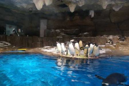 青島有哪些風(fēng)景名勝??！