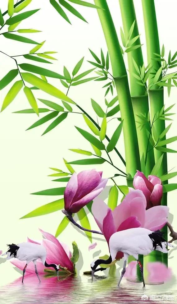 大年初一,都有什么風(fēng)俗?